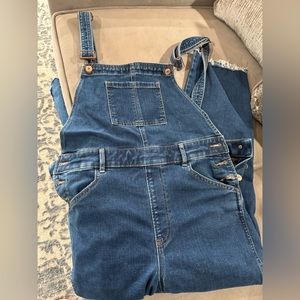 Express Women’s jean overalls